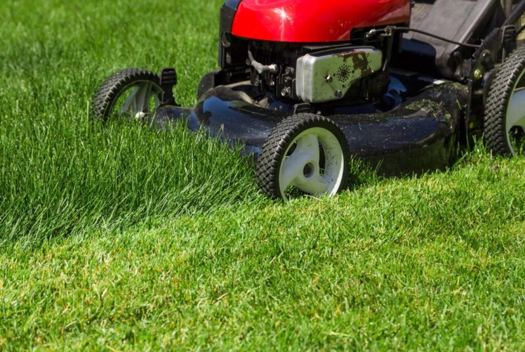 lawn mowing services West Midlands