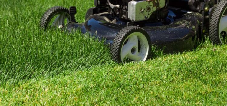 lawn mowing services West Midlands