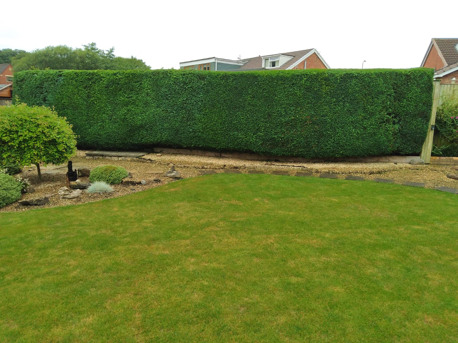 Hedge And Tree Maintenance | Everything Home and Garden🌲