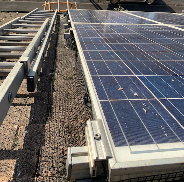 Solar panel pigeon proofing west midlands