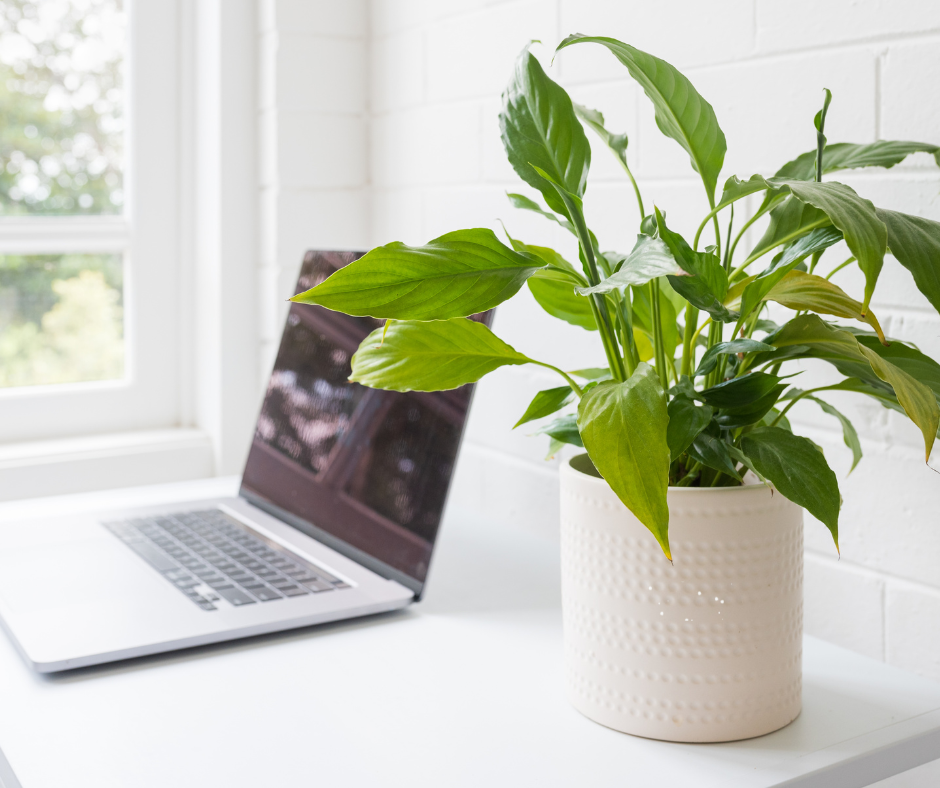 Small Home Offices West Midlands